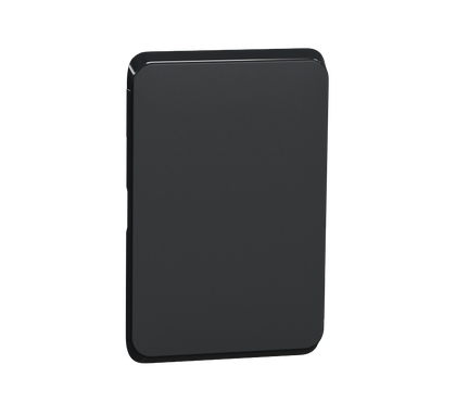 Clipsal Iconic Series Cover Frame For Blank Plate Vertical/Horizontal Iconic Black - 3040C-XB