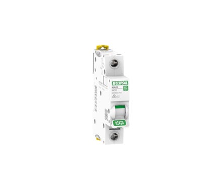 Clipsal MAX9 MCB 1P C 2A 6000A - MX9MC102