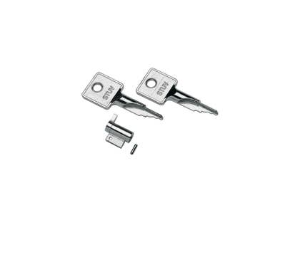 Hager VZ313 Key For Mini Gamma Enclosures